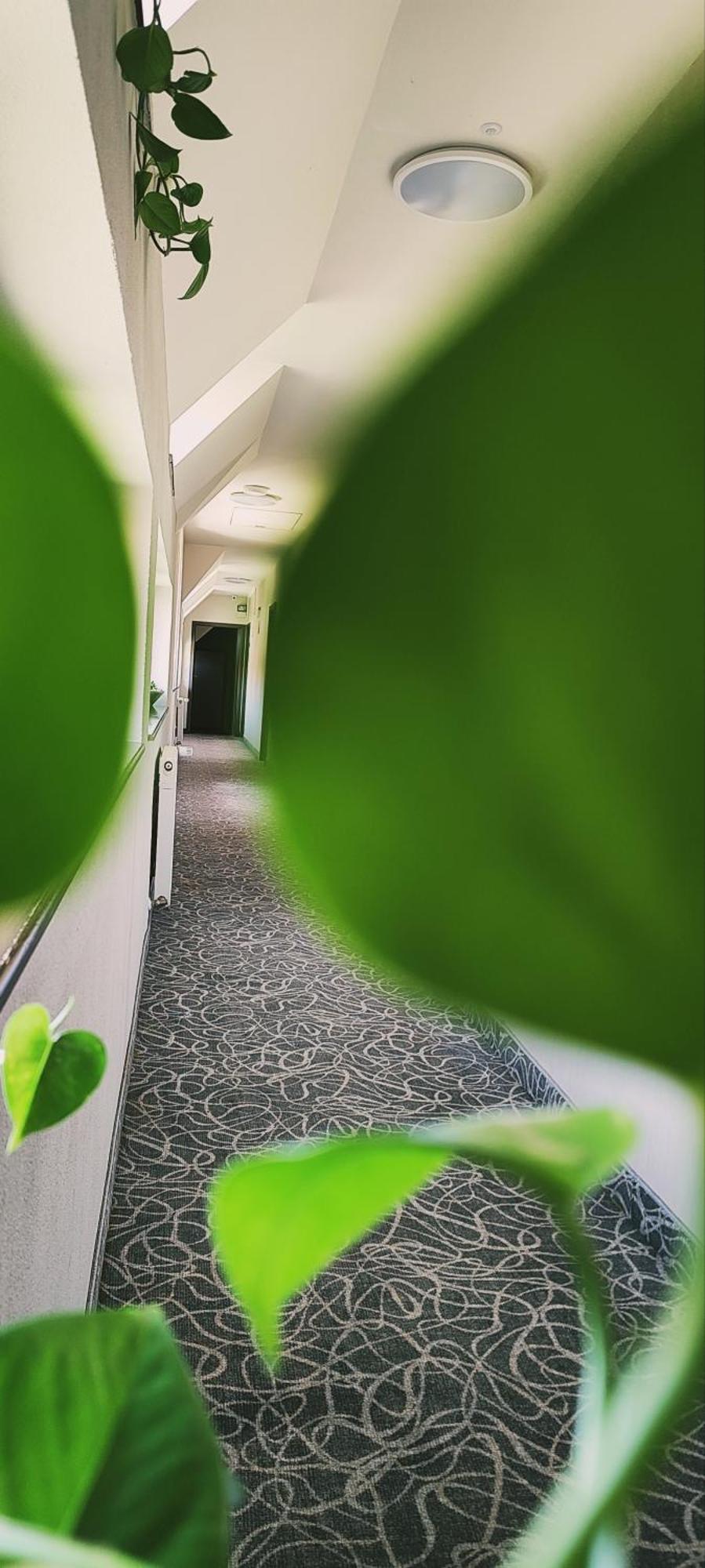 Pensiunea Luceafarul Sibiu Exteriér fotografie